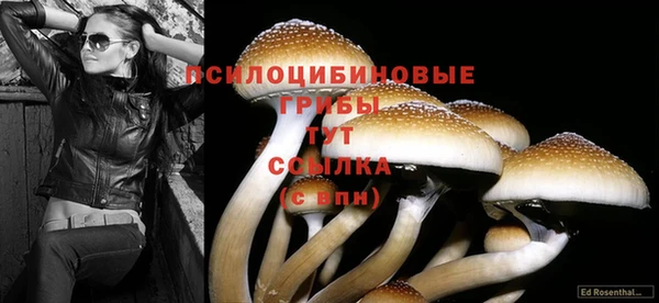 эйфоретик Белоозёрский
