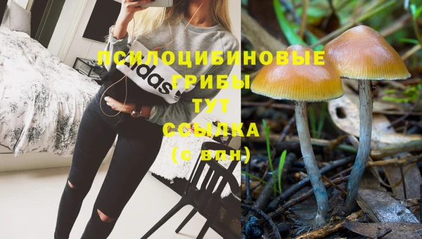 круглые Беломорск