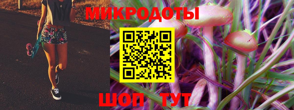 Псилоцибиновые грибы прущие грибы Пятигорск