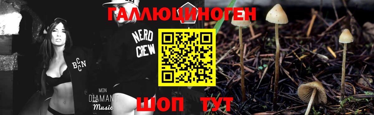как найти закладки  Вход с VPN  Пятигорск  Псилоцибиновые грибы Magic Shrooms 
