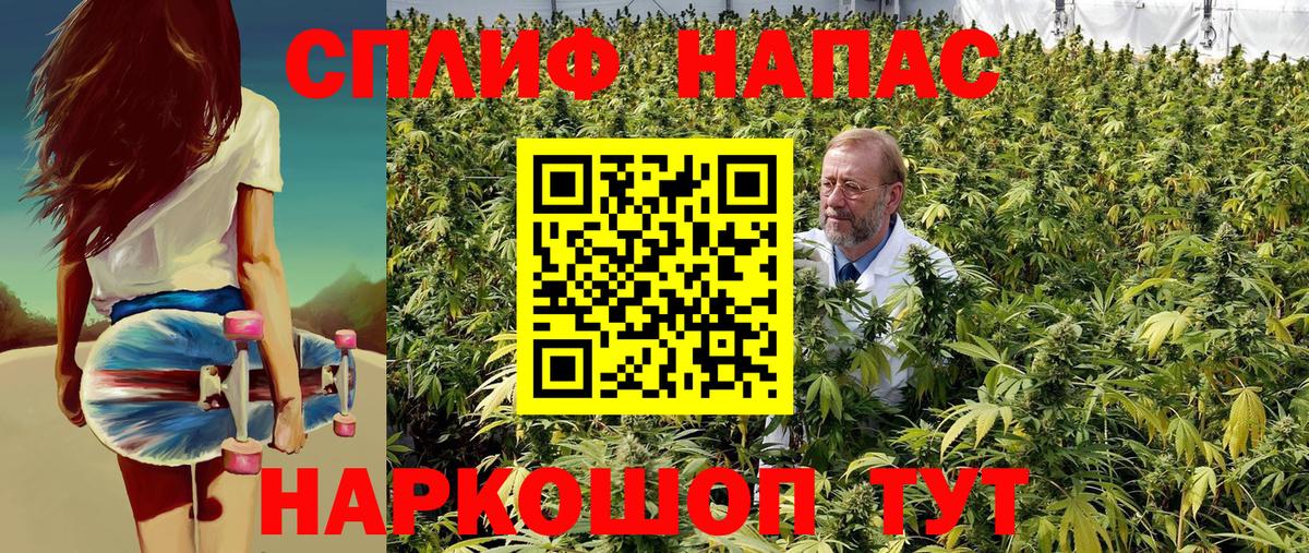 Пятигорск  Каннабис конопля  Вход с VPN  Канабис White Widow  Канабис SATIVA & INDICA 